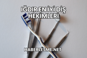 Iğdır En İyi Diş Hekimleri