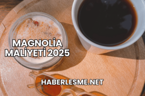 Magnolia Maliyeti 2025