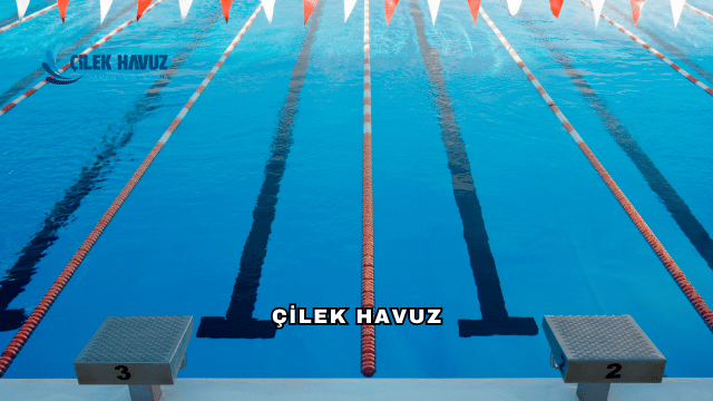 Çilek Havuz: Havuz Tasarımı ve Bakımında Güvenilir Çözüm