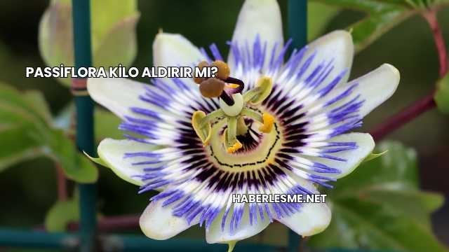 Passiflora Kilo Aldırır mı?