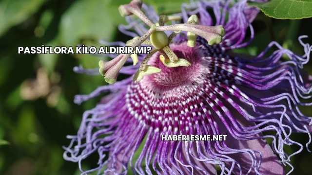 Passiflora Kilo Aldırır mı?