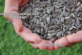 Siyah Tuzlu Çekirdek Kilo Aldırır mı?